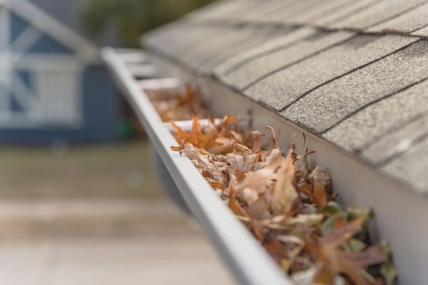 Leaf Barrier Installation in Mason